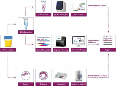 Advantage of precision metagenomics for urinary tract infection diagnostics